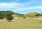 Green Park with Various Type of Big Trees and Two Color Grasses on The Field of Mountains with Blue Sky in The Sunny Day of Spring