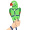 Green parrot in harness and leash on human hand vector image