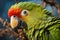 green parrot perched on a tree branch