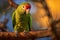 green parrot perched on a tree branch