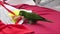 Green parrot playing with toys