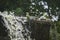 Green parrots drinking water on rocks near waterfall