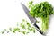 Green parsley, kitchen knife on white background. Flat top view