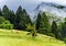 Green pasturage in high Alps