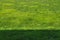 Green pasture, green grass, abstract background.