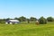 Green pastures of horse farms. Country summer landscape.