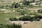 Green patches of land amidst cold dessert Leh in ladakh