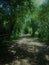 The Green Path - Amwell Nature Reserve