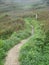 Green Path, The Lizard, Cornwall UK