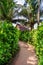 Green path of lush plants to a secluded house