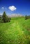 Green path to the mountains