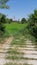 The green pathways with green agricultural field background.