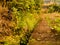 Green Pathways, Madeira Island Portugal