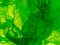 Green pattern of sea lettuce Ulva in close up.