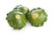 Green Pattypan Squashes Isolated