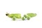 Green Pea Pod Broken In Half 3