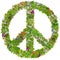 Green Peace symbol from spring plants