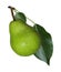 Green Pear