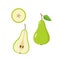 Green pear is whole, half and a pear slice on a white background. Vector illustration of ripe juicy fruit pears