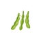 Green peas, bean pods, farm agriculture plant icon