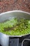 Green peas cooking in silver colored metal pot