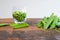 Green peas in glass bowl. fresh pea in the pod with green leaves. green peas on a brown wodden table