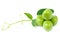 Green Peas with Leaves and Tendril on White Background