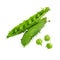Green peas and pea pods illustration