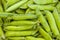 Green peas pods background