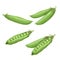 Green peas set. Eco farm fresh food. Sweet green pea pods. Closed and open. Vector illustrations