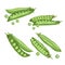Green peas set. Eco farm fresh food. Sweet green pea pods collection. Closed and open. Vector illustrations