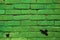 Green peint brick wall
