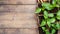 Green pepper seedlings in peat pots on wooden background. Top view with copy space