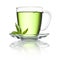 Green Peppermint Tea Cup