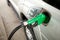Green petrol hose filling car