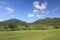 a green photo of a vast area of ??rice fields, towering trees, hills and cloudy blue sky