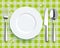 Green Picnic Blanket Plate Spoon Knife Fork