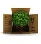 Green piece of nature product delivery