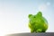 Green piggy bank against blue sky background savings, accounting, banking and business account or sustainable and environmentally
