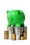 Green Piggy Bank and Coins