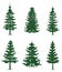 Green pine trees collection