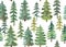Green pine trees watercolor seamless pattern in white background