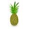 Green pineapple tropical fruit isolated on white background vintage Vector illustration editable