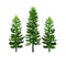 Green pines tree vector