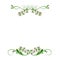 Green pink floral swirls dividers