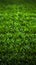 Green pitch perfection Soccer field with vibrant artificial grass texture