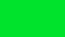 Green plain background for Christmas concept