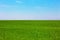 Green plain field