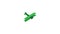 Green plane icon animation