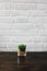 Green plant in black flowerpots on a white wooden desk. Wooden d